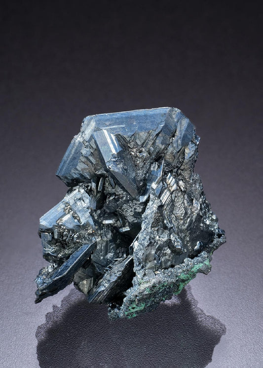 CC11522 specimen image