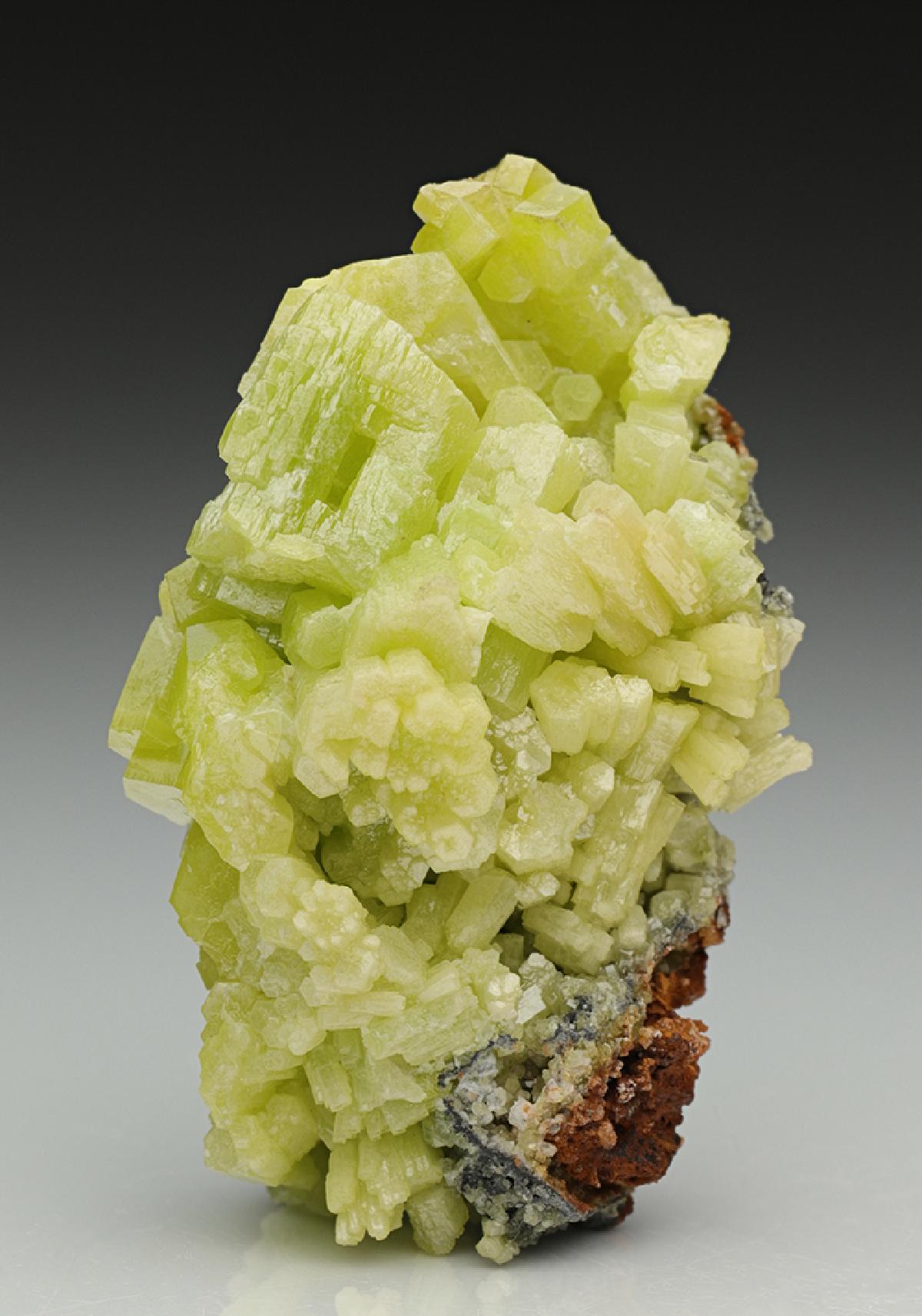 CC11527 specimen image