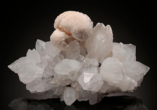 CC11590 specimen image