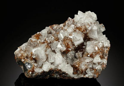 CC11592 specimen image