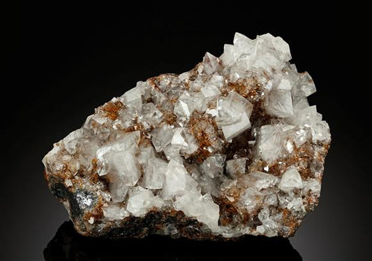 CC11592 specimen image