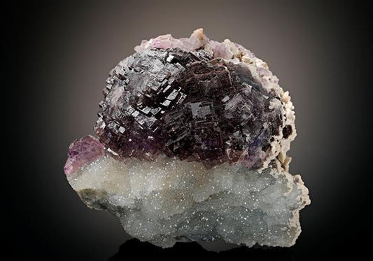 CC11603 specimen image