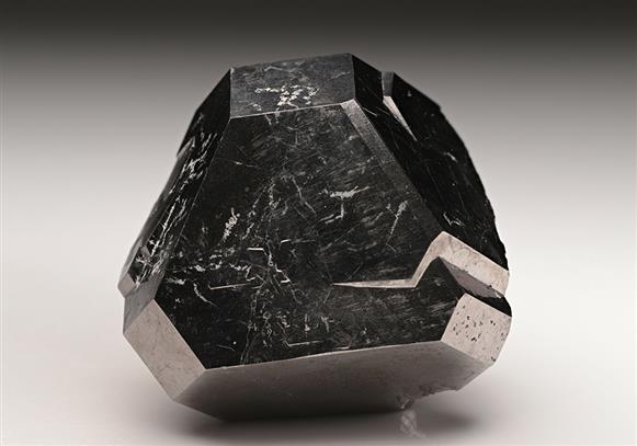 CC11628 specimen image