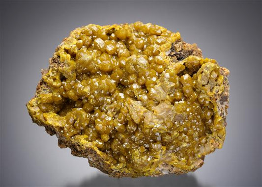 CC11653 specimen image