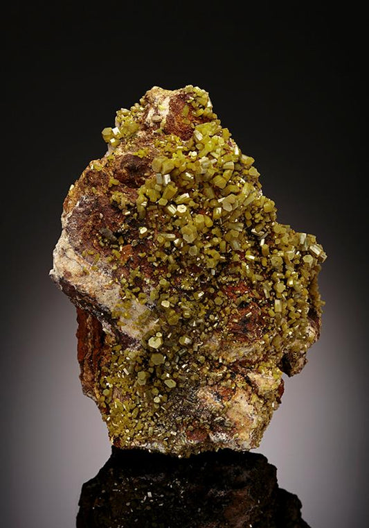 CC11660 specimen image