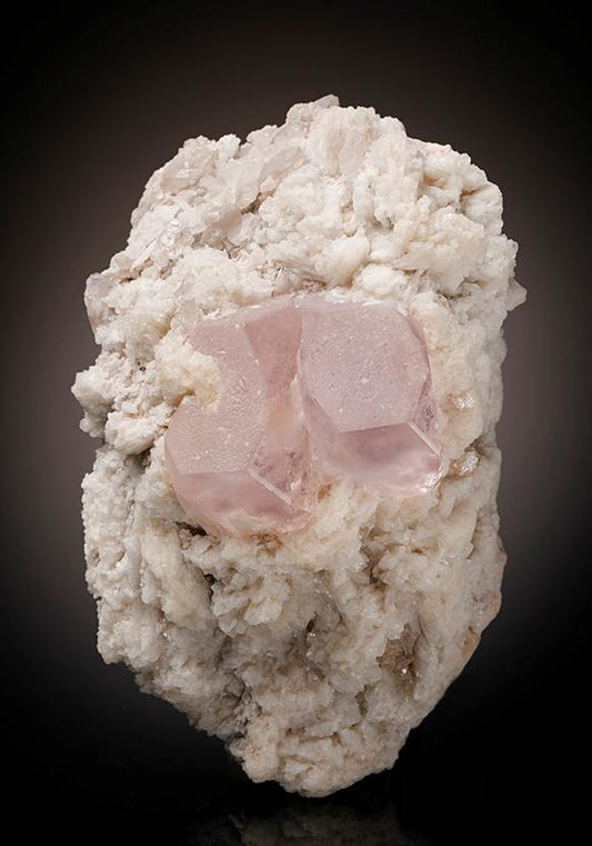 CC11672 specimen image