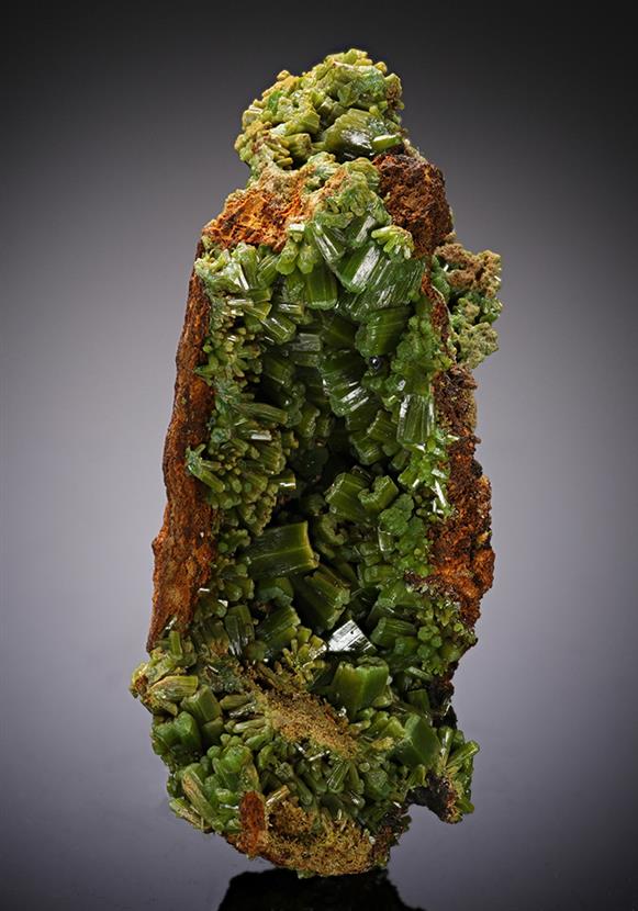 CC11710 specimen image