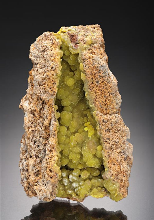 CC11734 specimen image