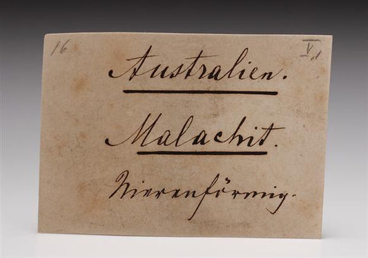 CC11777 specimen image