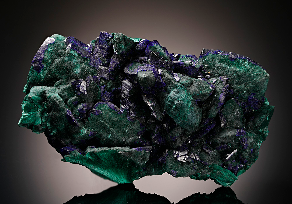 CC11794 specimen image