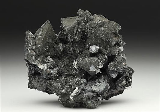 CC11801 specimen image