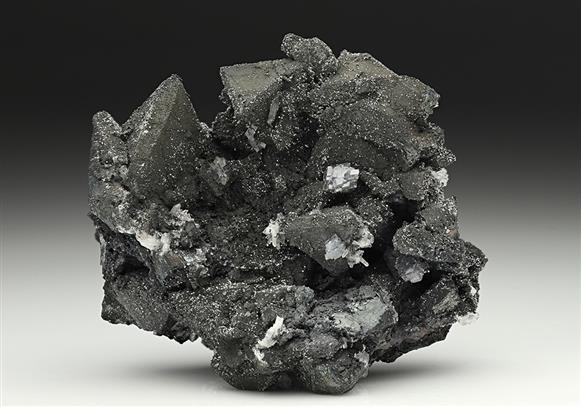 CC11801 specimen image