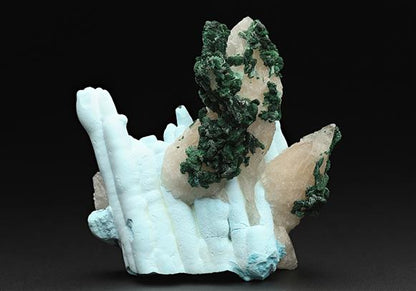 CC11804 specimen image