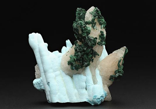 CC11804 specimen image