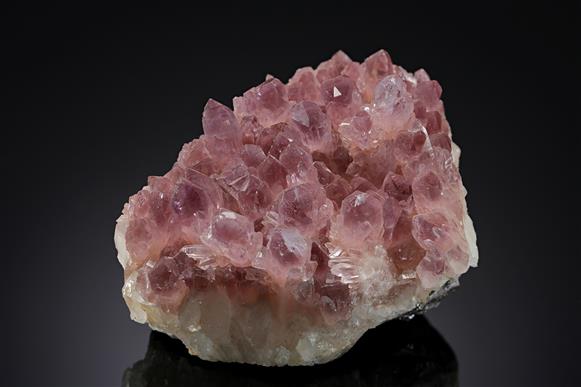CC11836 specimen image