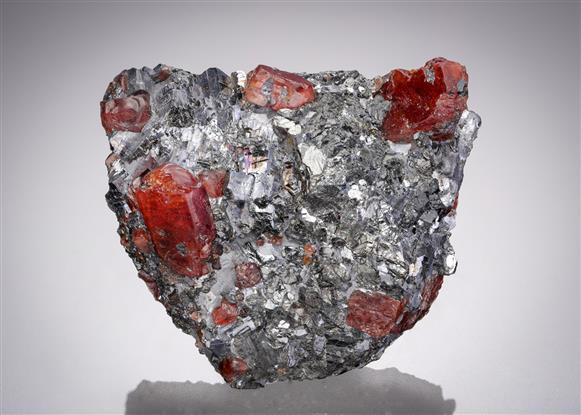 CC11846 specimen image