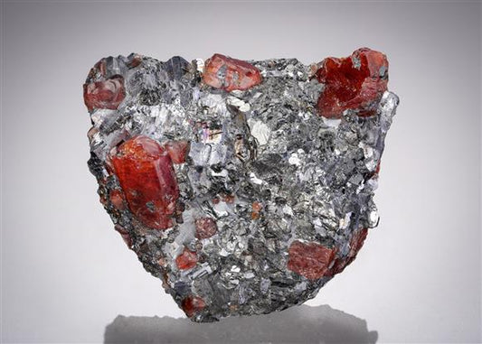 CC11846 specimen image