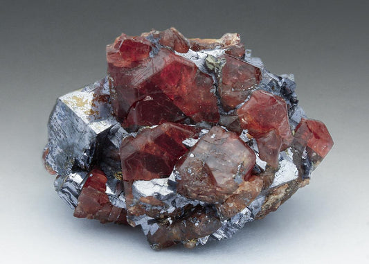 CC11850 specimen image