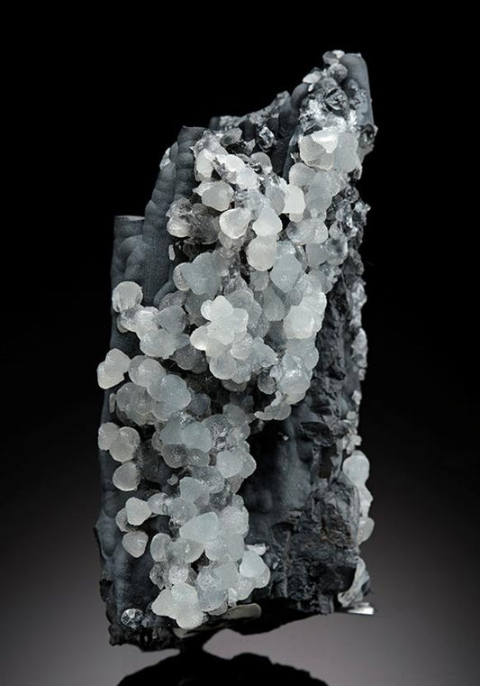 CC11865 specimen image