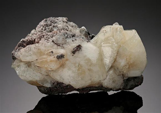 CC11891 specimen image