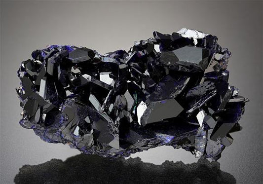 CC11907 specimen image