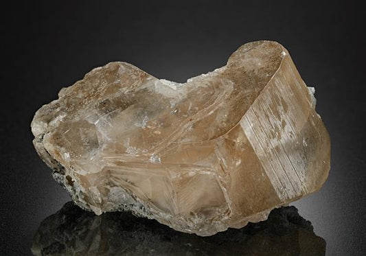 CC11933 specimen image