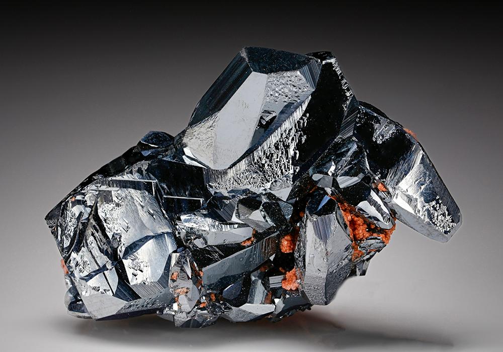 CC12002 specimen image