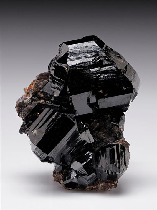 CC12008 specimen image