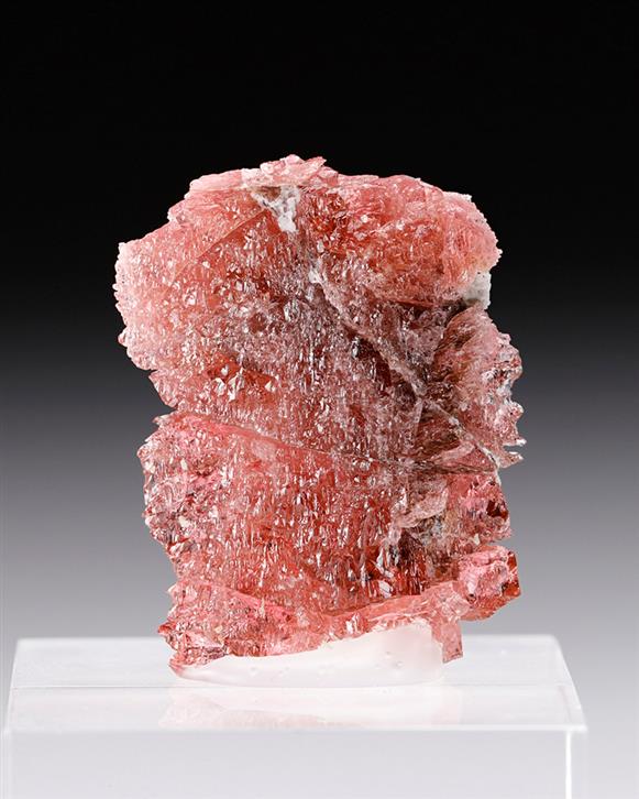 CC12010 specimen image