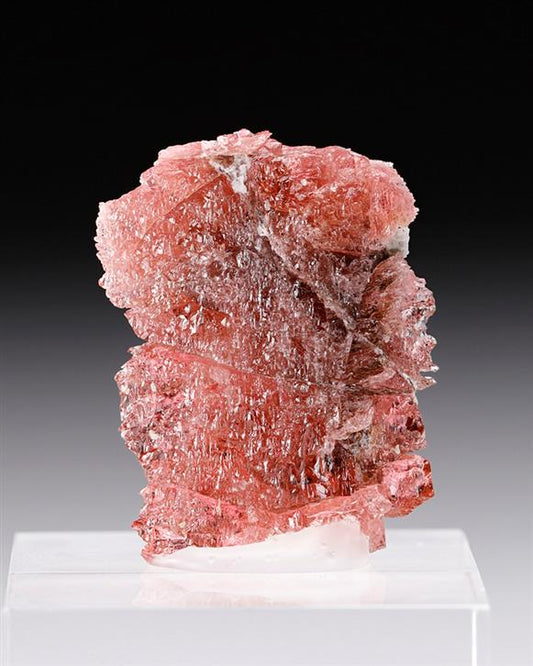 CC12010 specimen image
