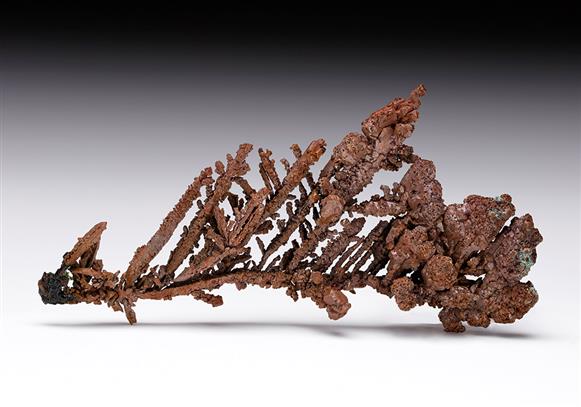 CC12011 specimen image
