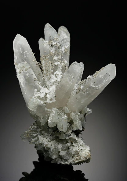CC12013 specimen image