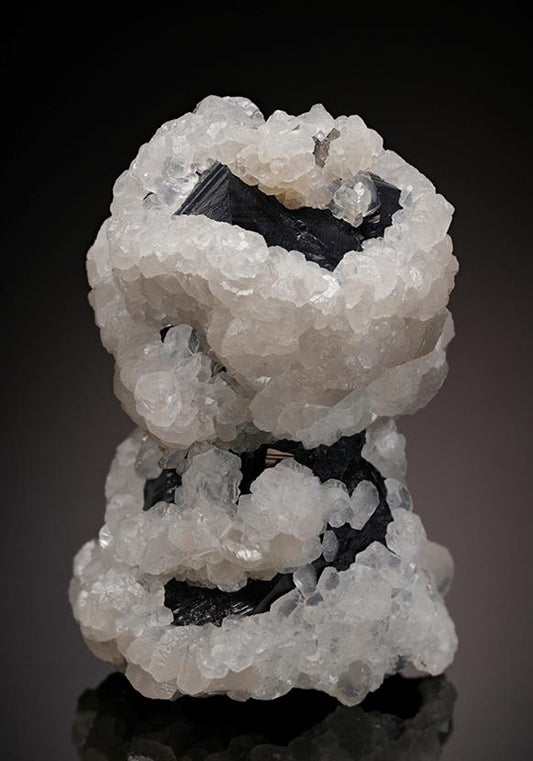CC12014 specimen image