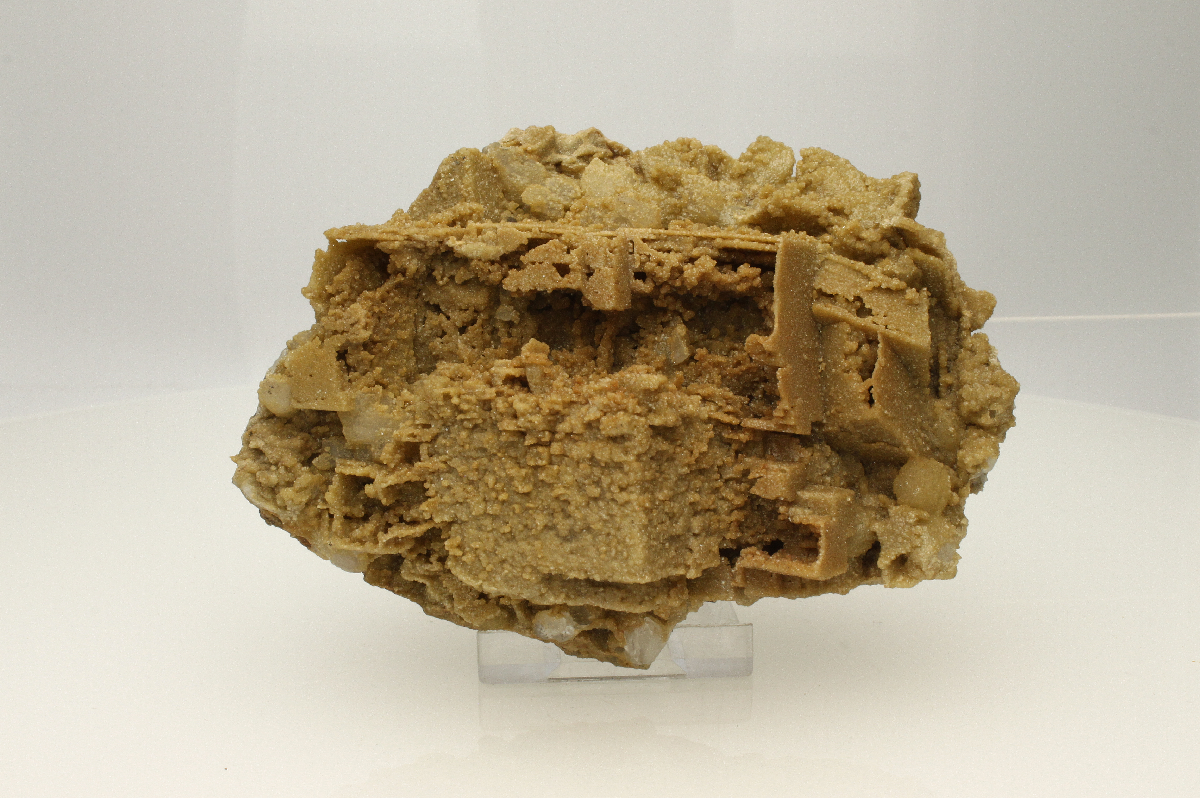 CC12023 specimen image