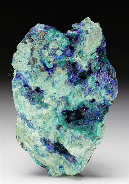 CC12055 specimen image