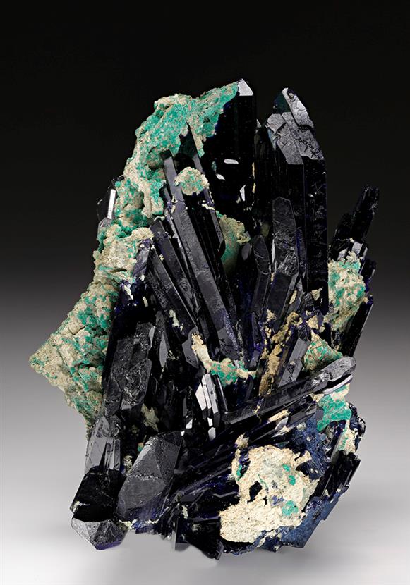 CC12056 specimen image