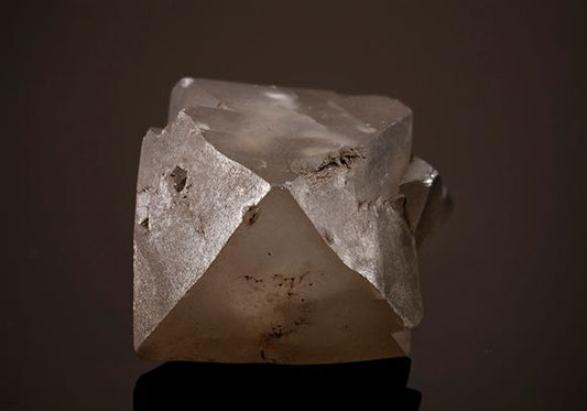 CC12063 specimen image