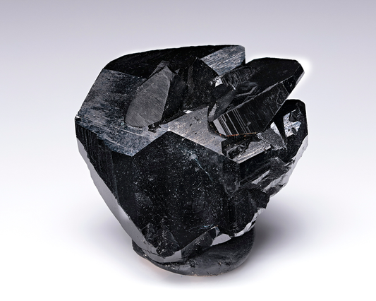 CC12071 specimen image