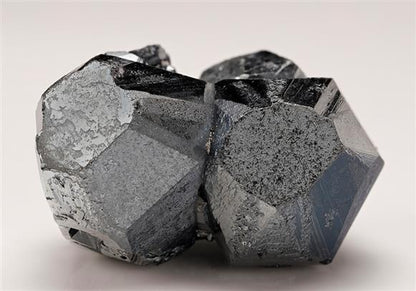 CC12087 specimen image