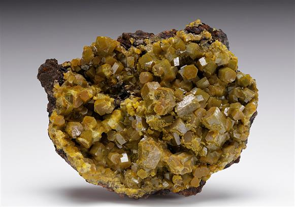 CC12089 specimen image