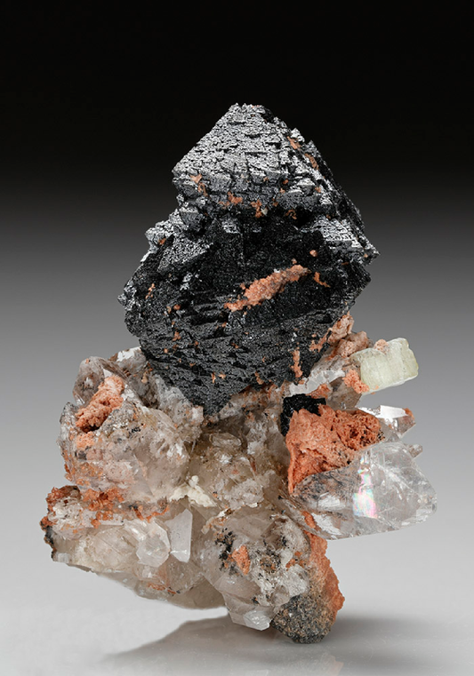 CC12092 specimen image