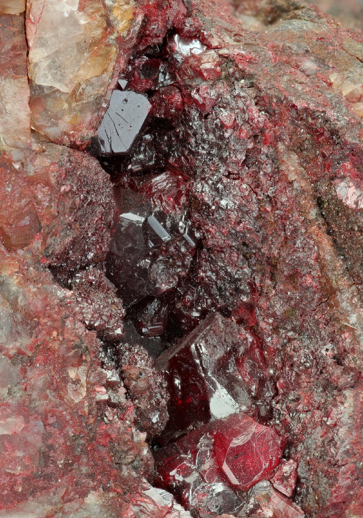 CC12095 specimen image