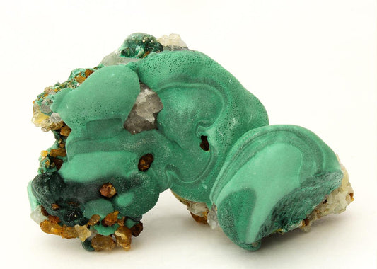 CC12119 specimen image