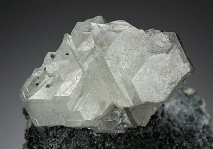 CC12139 specimen image