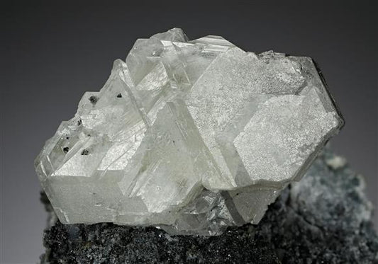 CC12139 specimen image