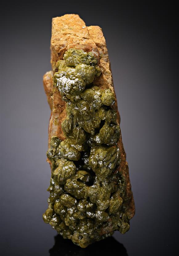 CC12166 specimen image