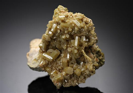CC12176 specimen image