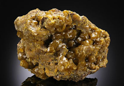 CC12187 specimen image