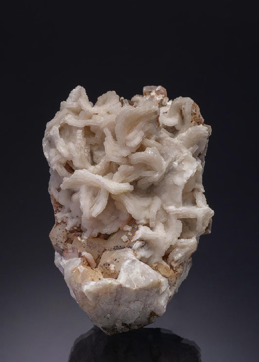 CC1220 specimen image