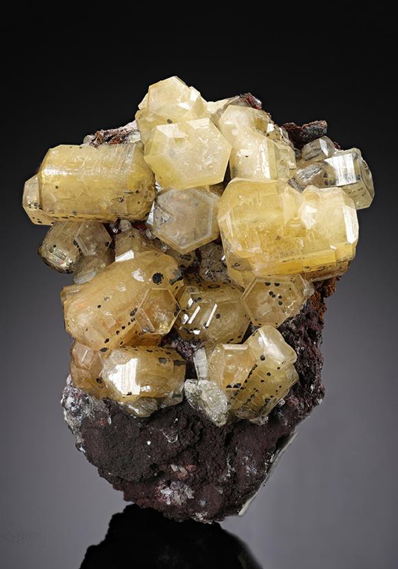 CC12212 specimen image